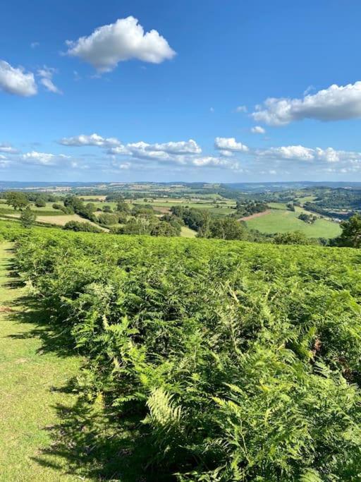 The Mill Stylish Rural Apartment With Beautiful Views Welsh Newton Common Экстерьер фото