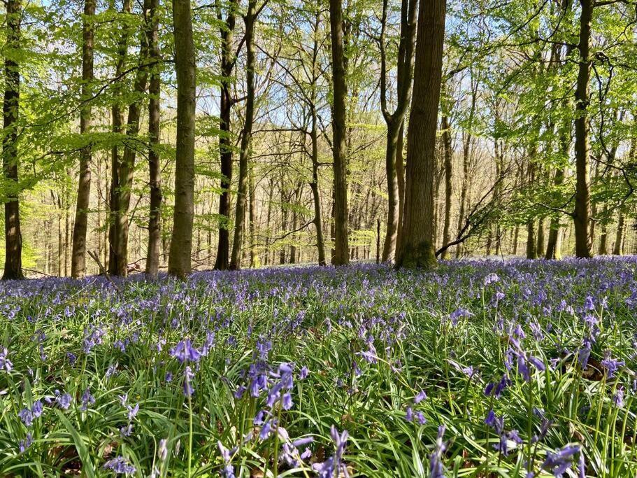 The Mill Stylish Rural Apartment With Beautiful Views Welsh Newton Common Экстерьер фото