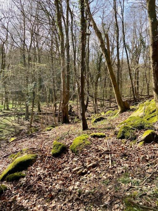 The Mill Stylish Rural Apartment With Beautiful Views Welsh Newton Common Экстерьер фото