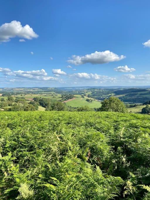 The Mill Stylish Rural Apartment With Beautiful Views Welsh Newton Common Экстерьер фото